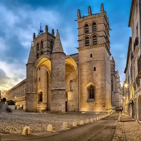 Place De La Comedie - Magnifique T2 Au Calme Appartement Montpellier